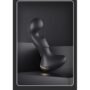 Fortis vibrador Prostatico uso con app desde el celu