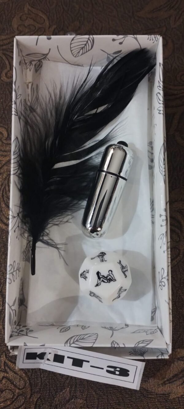 KIT mini balita vibradora a pilas + pluma + dados posiciones
