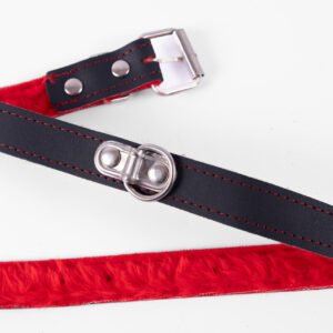 COLLAR CON PELUCHE FUCSIA + CORREA