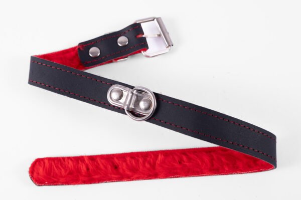 COLLAR CON PELUCHE FUCSIA + CORREA